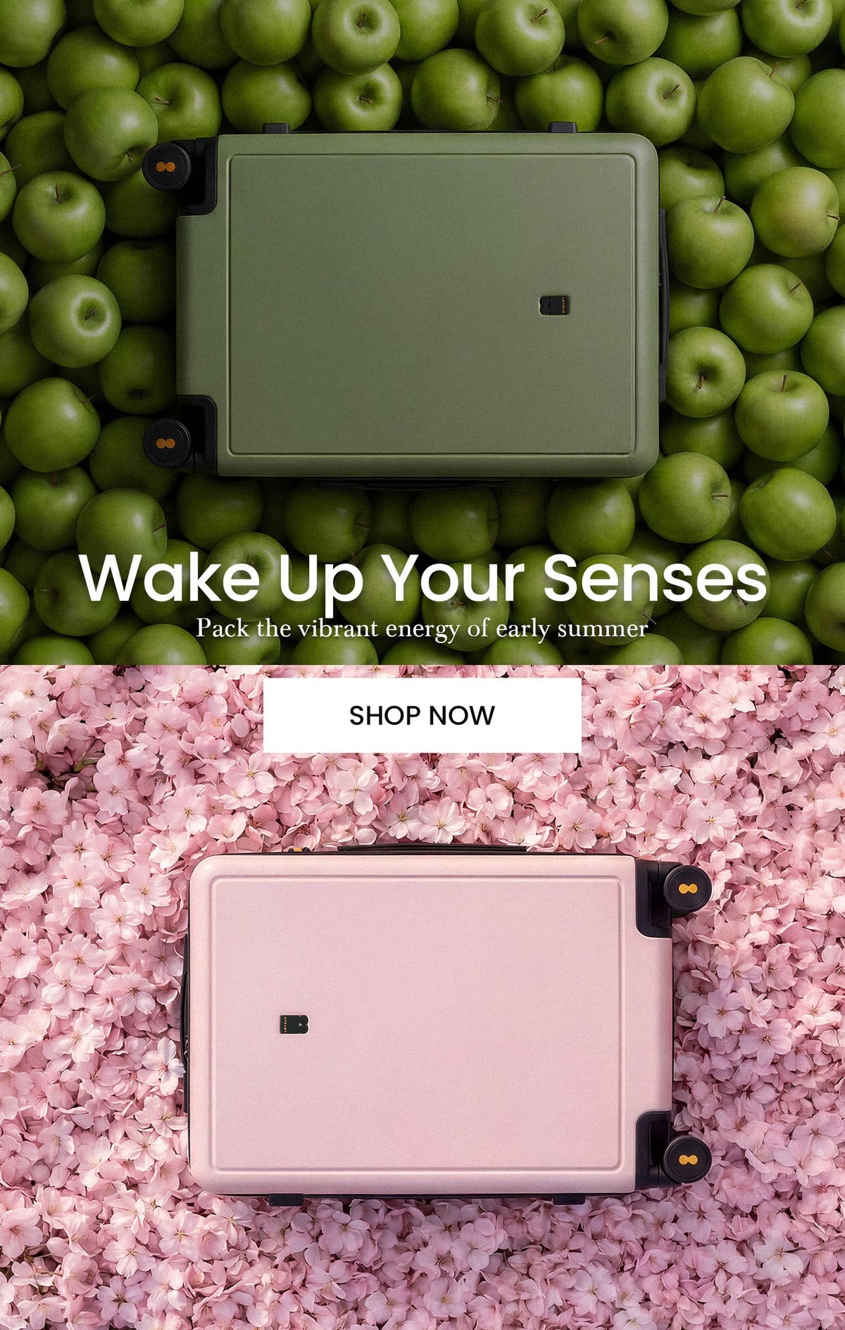 luminous series